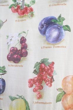 画像4: Jane Marple / Fruits dictionaryのドレス  アイボリー H-24-05-11-008-JM-OP-KB-ZH