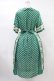 画像2: Jane Marple / Polka dots parade Colette dress M グリーン H-24-07-03-1016-JM-OP-SK-ZH (2)