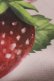 画像4: Melody BasKet / Natural Strawberryレースジャンパースカート  ピンク H-24-08-01-006-LO-OP-KB-ZH (4)