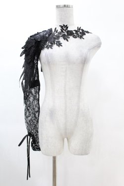 画像1: DARK IN LOVE / Gothic women half lace sleeves with flowers XL ブラック H-25-02-22-1001-PU-ZA-KB-ZH