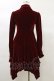 画像2: KILL STAR / Nymyra Velvet Cameo Dress XS Blood red H-25-03-06-066-SL-OP-KB-ZH (2)