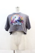 LAND by MILKBOY / UNICORN CAT TEE  グレー I-24-11-22-008-MB-TO-HD-ZI