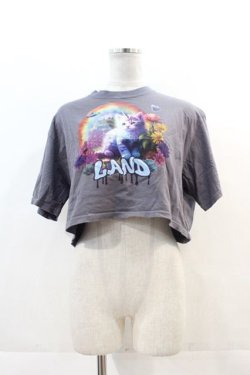 画像1: LAND by MILKBOY / UNICORN CAT TEE  グレー I-24-11-22-008-MB-TO-HD-ZI