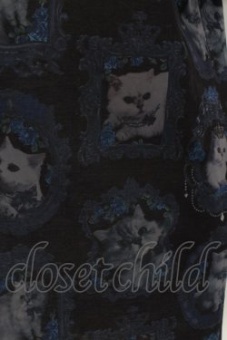 画像2: Enchantlic Enchantilly / 猫の王女達の肖像画カットソーワンピース  クロ×アオ O-24-09-28-142-LO-OP-OW-OS