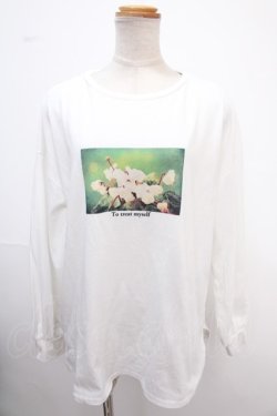 画像1: axes femme / アソートフラワーＴシャツ  白 Y-25-02-06-145-AX-TO-AS-ZY