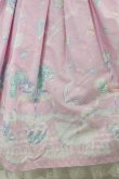 画像6: Angelic Pretty  / Candy Sprinkleジャンパースカートセット H-23-07-11-1045h-1-OP-AP-L-NS-ZH-R (6)