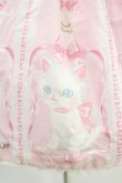 画像5: Angelic Pretty / きまぐれバニラちゃんワンピース Free ピンク H-24-07-16-1007-AP-OP-NS-ZH (5)