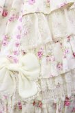 画像5: Angelic Pretty / ファンシーローズジャンパースカート Free オフ H-24-09-07-1004-AP-OP-NS-ZH (5)