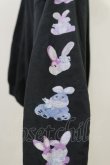 画像3: Candy Stripper / DINGY BUNNY HOODIE  黒 H-24-09-29-035-PU-TO-KB-ZH (3)