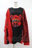 画像1: Candy Stripper / HILARIOUS BEAR KNIT  レッド H-24-10-10-049-PU-TO-KB-ZH (1)