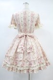 画像2: Angelic Pretty / 花柄ワンピース（旧タグ） Free アイボリー H-24-10-10-1007-AP-OP-NS-ZH (2)