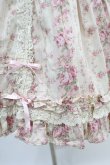 画像5: Angelic Pretty / 花柄ワンピース（旧タグ） Free アイボリー H-24-10-10-1007-AP-OP-NS-ZH (5)