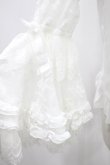 画像5: Angelic Pretty / Viorettaブラウス Free 白 H-24-10-21-1031-AP-BL-NS-ZH (5)