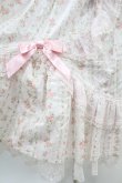 画像5: Angelic Pretty / ローズコロンジャンパースカート Free ピンク H-24-11-09-1021-AP-OP-NS-ZH (5)