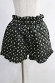 画像1: Candy Stripper / TINY ROSE QUILTING SHORTS 2 ブラック H-24-12-02-044-PU-PA-KB-ZH (1)