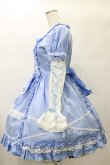 画像3: Angelic Pretty / クラシックローズワンピース Free サックス H-25-01-07-053-AP-OP-NS-ZH (3)