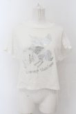 画像1: MILK / ユニコーンpt Tシャツ  シロ O-24-07-13-011-ML-TS-IG-OS (1)