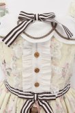 画像2: Angelic Pretty / Chocolate Teatimeジャンパースカート  アイボリー O-24-08-17-033-AP-OP-OW-OS (2)