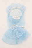 画像2: Angelic Pretty / Pearl Shellアームウォーマー  サックス O-24-08-19-078-AP-ZA-IG-OS (2)