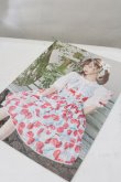 画像1: Angelic Pretty / Angelic Pretty 2018 Spring Collection Look Book　カタログ   O-24-12-08-033-AP-ZA-YM-OS (1)