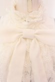 画像2: Angelic Pretty / Elegantジャボブラウス  シロ O-25-01-31-013-AP-BL-IG-OS (2)