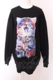 画像1: TRAVAS TOKYO / Glutton cat L/S　カットソー F ブラック O-25-02-24-018-PU-TO-YM-OS (1)