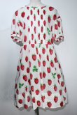 画像1: Jane Marple /Strawberry field　sheer dress - オフ S-24-05-17-045-JM-OP-UT-ZS (1)