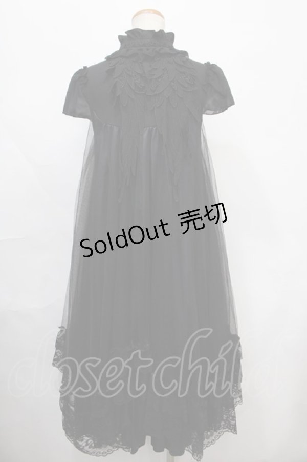 画像2: MRcorset / EMBROIDERY ANGEL WING DRESS  ブラック Y-24-10-01-083-LO-OP-SZ-ZY (2)